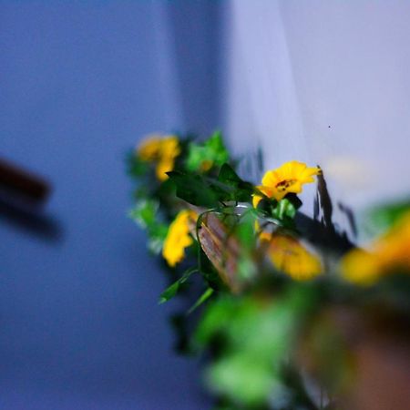 O Viajante Av Paulista Hostel Σάο Πάολο Εξωτερικό φωτογραφία